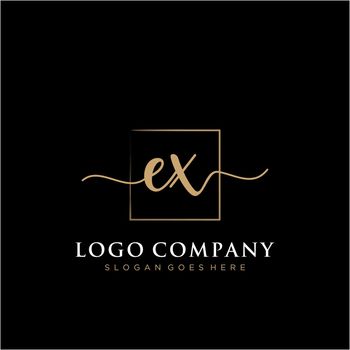 EX Initial handwriting logo with rectangle template vector
