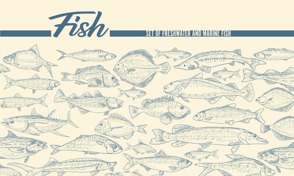 The cover template of the booklet of fish products and seafood.