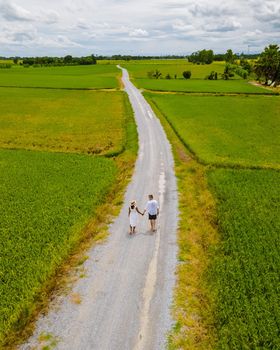 Drone aerial view of green paddy rice field in Thailand, men and woman walking road between rice