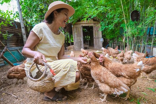 Asian women at a Eco farm homestay feeding chicken at a farm in Thailand