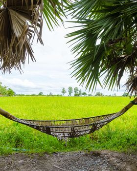Hammock at an Eco farm homestay with a rice field in central Thailand, paddy field of rice