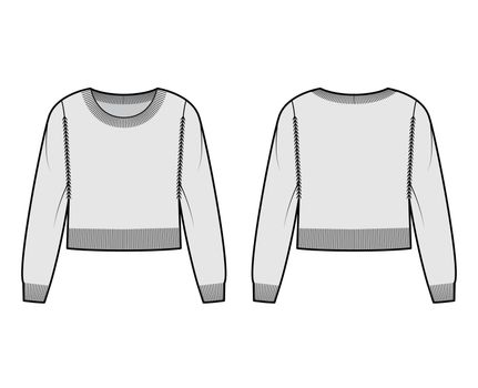 Round neck cropped Sweater technical fashion illustration with long sleeves, waist length, knit rib trim Flat jumper