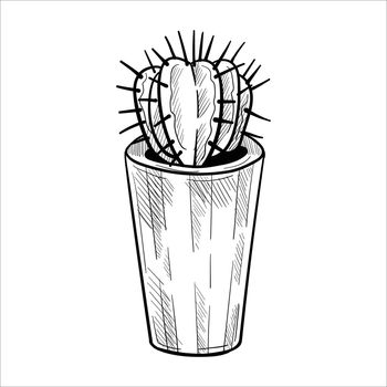 Cactus in flowerpots. Outline hand drawn sketch
