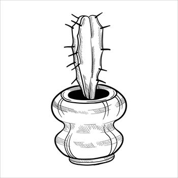 Cactus in flowerpots. Outline hand drawn sketch