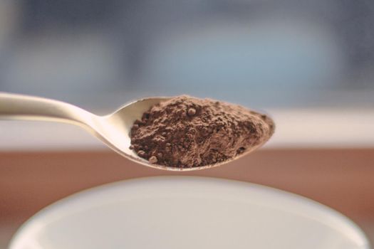 cocoa powder - spices and ingredients styled concept