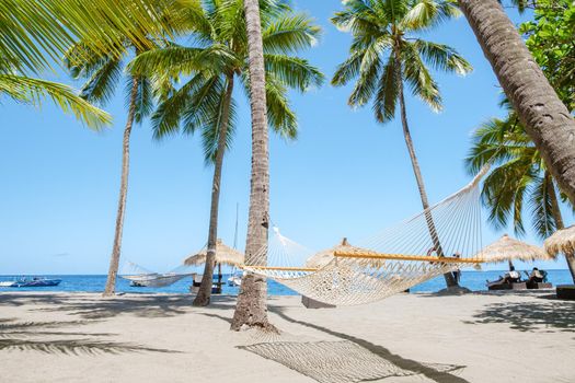 hammock with palm trees in a blue sky at the Caribbean St Lucia Island