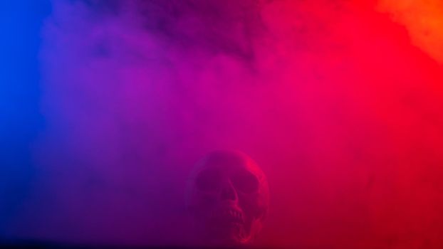 Human skull in pink and blue smoke on a black background. Halloween.