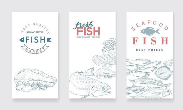 A collection of banners to advertise a fish shop or seafood market.