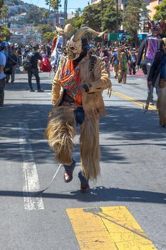 Members of the Los Diablos de Santa Cruz perform in the San Francisco Carnaval parade.