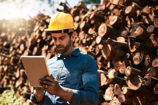 Keeping his eye on the lumber shipments. a lumberjack using his tablet while standing in front of a pile of wood.