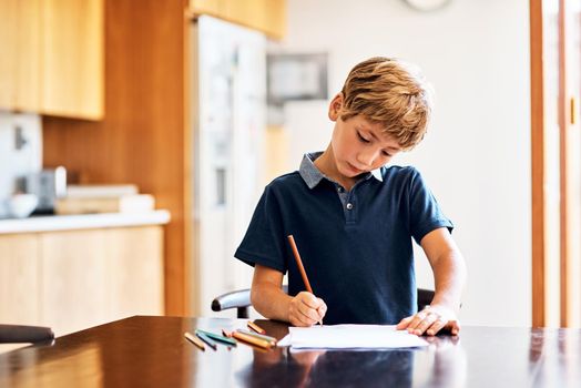 Homework helps to develop positive study skills and habits. a young boy doing his homework.