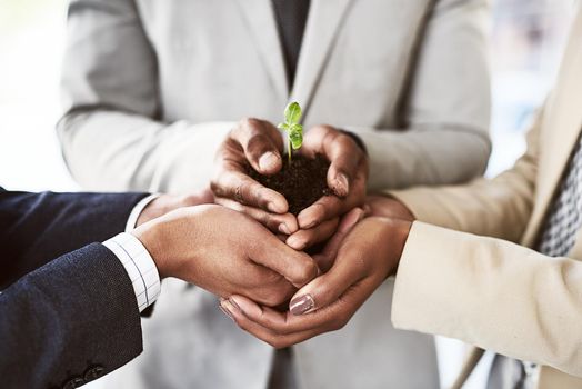 Work together, thrive together. Closeup shot of a group of unrecognizable businesspeople holding a plant growing out of soil.