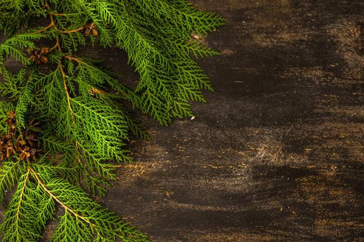 Christmas frame with fir tree