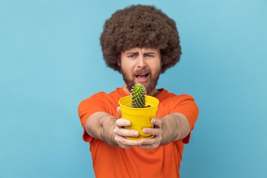 Man holding out yellow flower pot and cactus, looking at camera with frowning face.