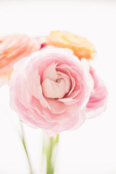 pink rose flowers from the garden - wedding, holiday and floral garden styled concept