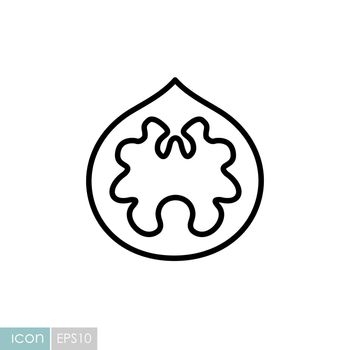 Walnut isolated design vector icon. Fruit sign