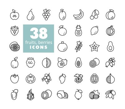 Set of Fruits and Berries icons