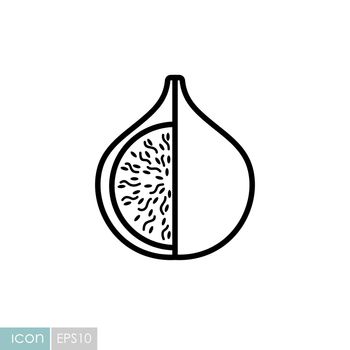 Fig tropical fruit vector icon