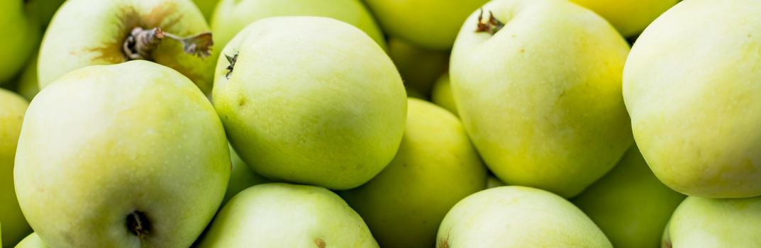 Large group of bright green apples.juicy and selected fruits. Antioxidant fruits. fresh, tasty, organic apples background
