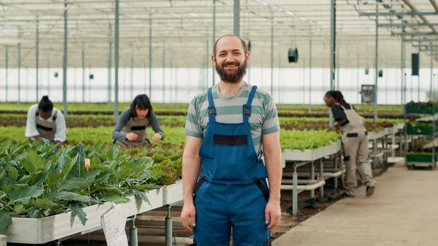 Portrait of caucasian farmer in organic food farm posing confident while diverse pickers gather organic lettuce