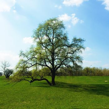 spring landscape scenery - beauty in nature, landscapes and environment concept