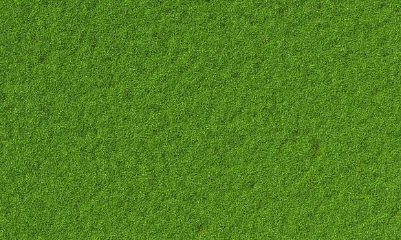 Top view of fresh green grassy background. Nature and wallpaper concept. 3D illustration rendering