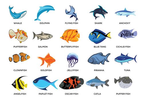 Fish icon set. Flat set of fish vector illustrations isolated on white background