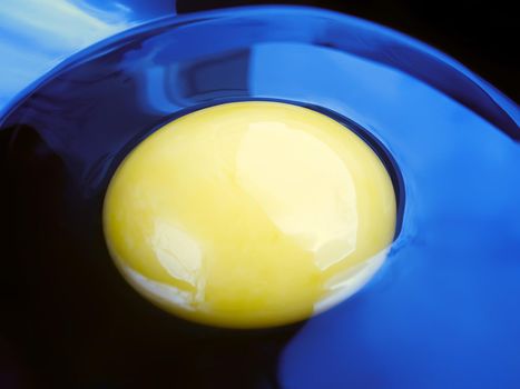 fresh egg yolk