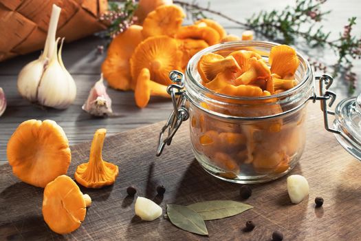 Preserving chanterelle mushrooms in a jar with spices and herbs. Pickling wild edible mushrooms