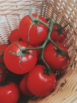 ripe tomatoes - organic vegetables and healthy eating styled concept