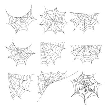 spider web for halloween and cobweb elements decoration isolated on white background.