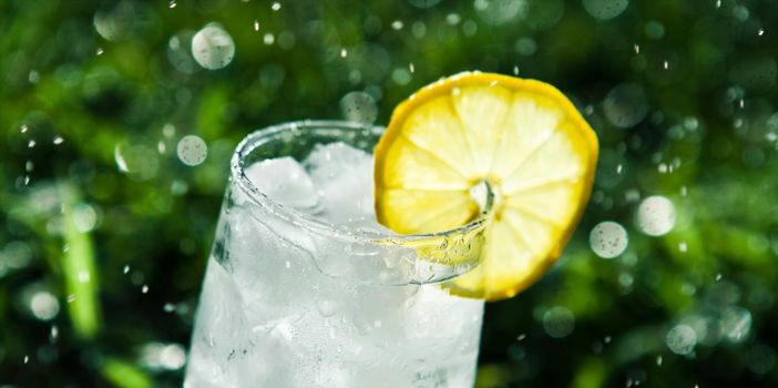 lemon cocktail on the grass, summer picnic - drinks, cocktails and celebration styled concept