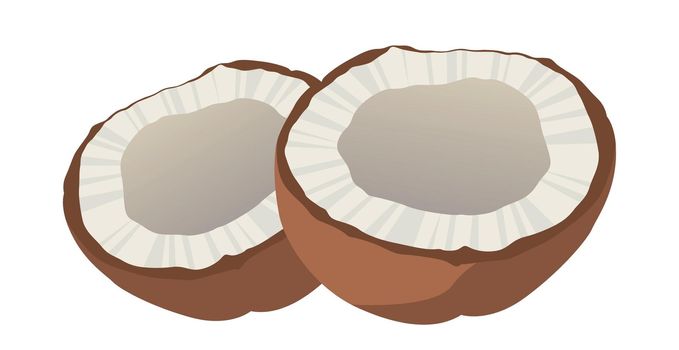 Realistic fresh coconut and coconut milk white background - Vector