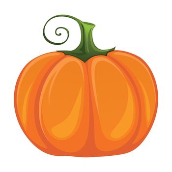 Realistic fresh ripe pumpkin isolated on white background - Vector