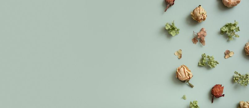 Banner with autumn pattern flat lay with from dried plants on pastel green colored background. Top view, copy space