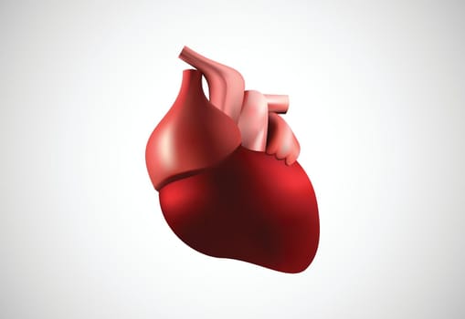 3d realistic human heart vector illustration
