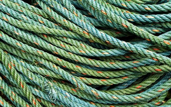 Roll of green nylon rope