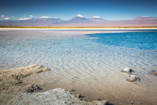 Volcanic landscape and salt lake reflection at sunset in Atacama Desert, Chile