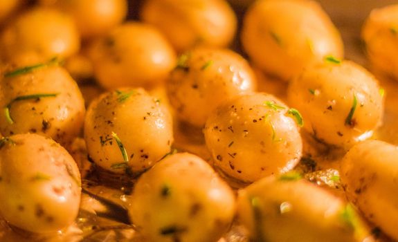 roasted potatoes in the oven recipe