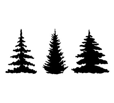 Vector black silhouettes of forest trees isolated on white
