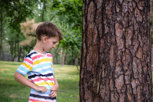 Boy 7-9 years old white Caucasian looks attentively at the tree while standing in the forest near a beech tree in early summer or spring