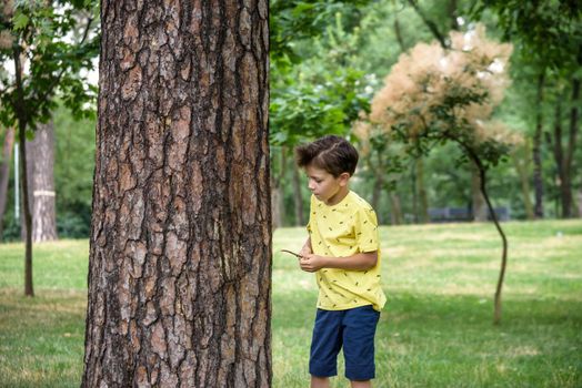 Boy 7-9 years old white Caucasian looks attentively at the tree