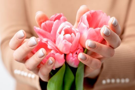 Woman's hands hold pink tulips