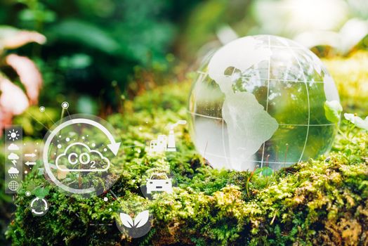 Glass globe in the in nature forest with environment Icons