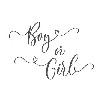 Gender calligraphy inscription Boy or Girl. For Baby shower party invitation