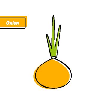 Flat design vegetable education card. Vector illustration with big solid orange isolated onion or bulb, black outline and label on white background for kid game, memory training or eco market sign.