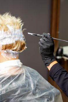 Female hairdresser dyeing short hair
