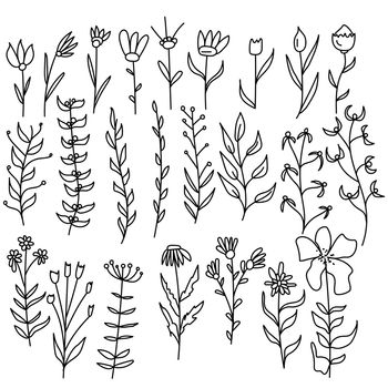 Doodle set of wildflowers and fancy flowers, outline plants for design