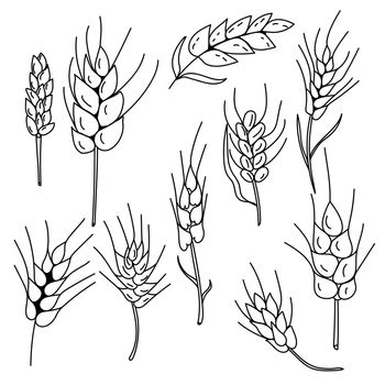 Doodle spikelets set, fancy ornate spikelets of various shapes and sizes for design