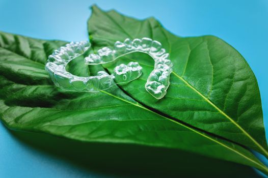 Invisible modern removable braces or aligners for teeth on a blue background with green leaves